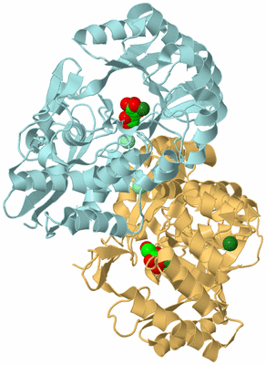 Image Biological Unit 4