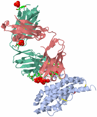 Image Biol. Unit 1 - sites