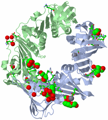 Image Asym./Biol. Unit - sites