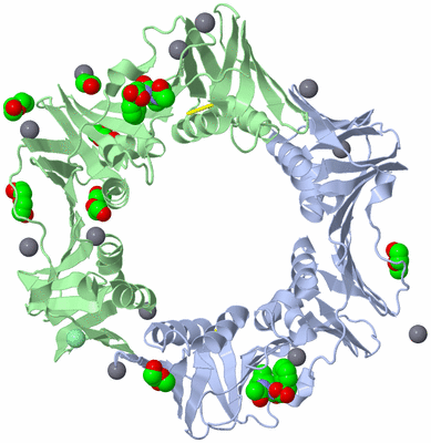 Image Asym./Biol. Unit