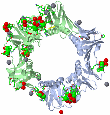 Image Asym./Biol. Unit - sites