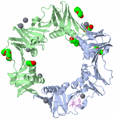 Image Asym./Biol. Unit