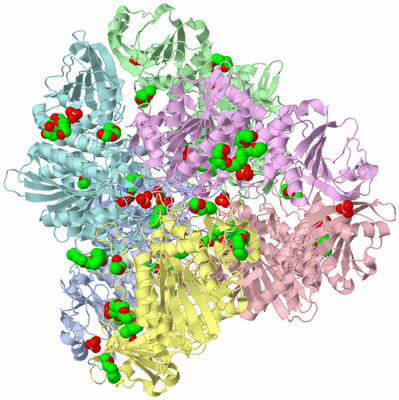 Image Biological Unit 1