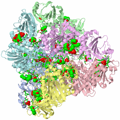 Image Biol. Unit 1 - sites