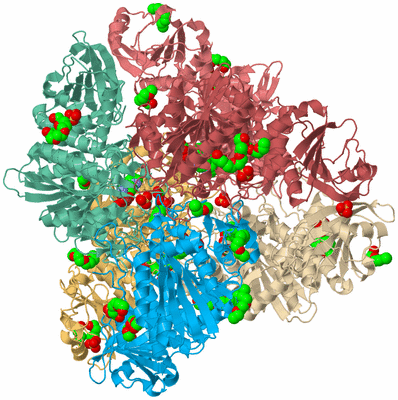 Image Biological Unit 2