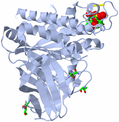 Image Biol. Unit 1 - sites