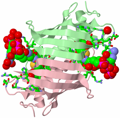 Image Biol. Unit 1 - sites