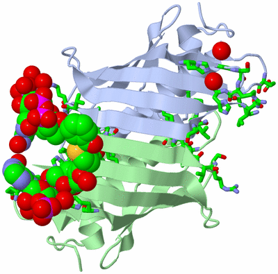 Image Biol. Unit 1 - sites