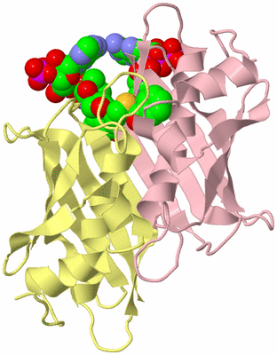 Image Biological Unit 2