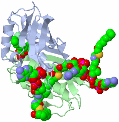 Image Biological Unit 1