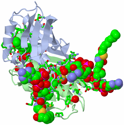 Image Biol. Unit 1 - sites