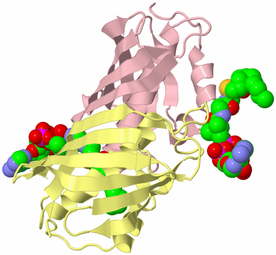 Image Biological Unit 2