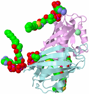 Image Biological Unit 3