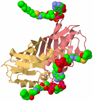 Image Biological Unit 4