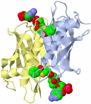 Image Biological Unit 1