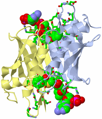 Image Biol. Unit 1 - sites