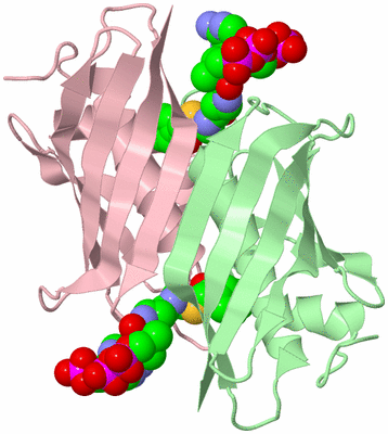 Image Biological Unit 2