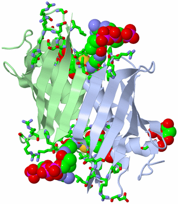 Image Asym./Biol. Unit - sites