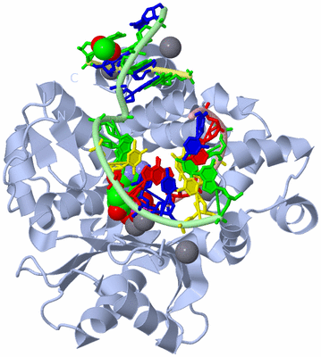 Image Biological Unit 1