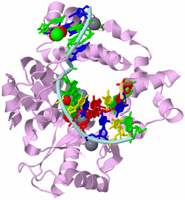 Image Biological Unit 2