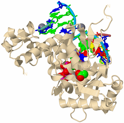 Image Biological Unit 3