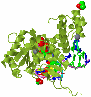 Image Biological Unit 4