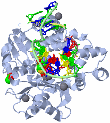 Image Biological Unit 1