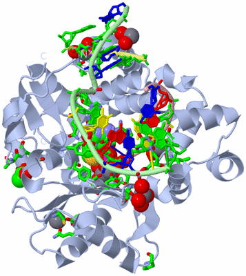 Image Biol. Unit 1 - sites