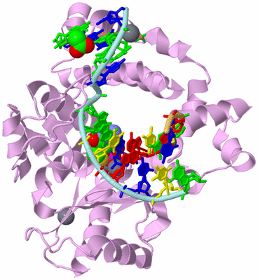 Image Biological Unit 2