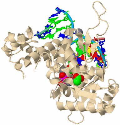 Image Biological Unit 3