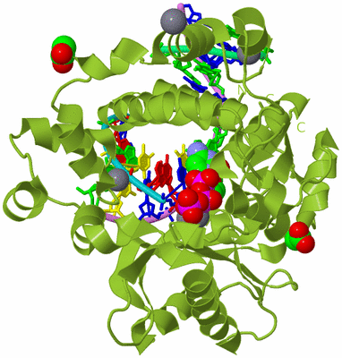 Image Biological Unit 4