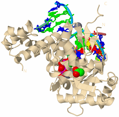 Image Biological Unit 3