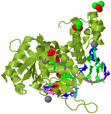 Image Biological Unit 4