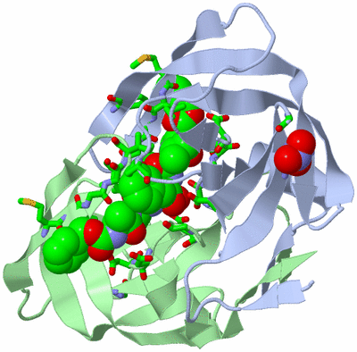 Image Asym./Biol. Unit - sites