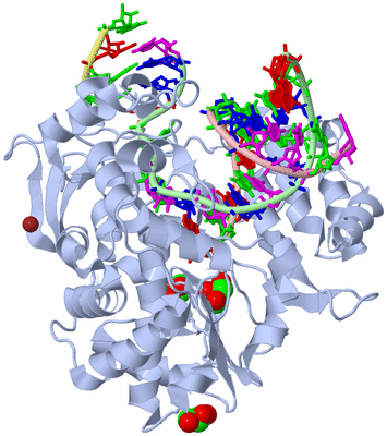 Image Biological Unit 1