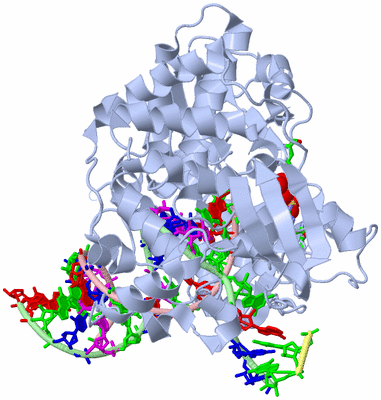 Image Biol. Unit 1 - sites