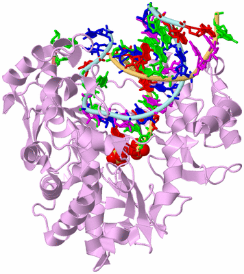 Image Biological Unit 2