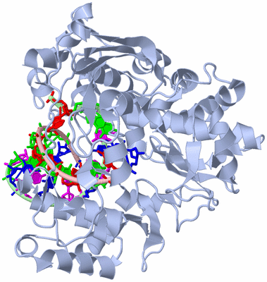 Image Biol. Unit 1 - sites