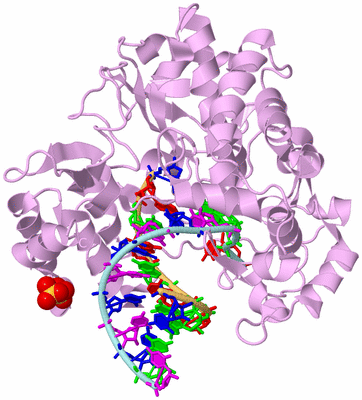 Image Biological Unit 2