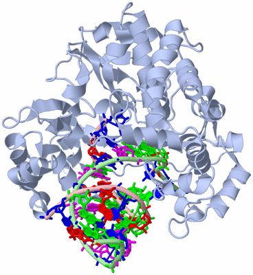 Image Biological Unit 1