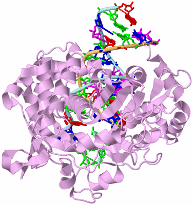 Image Biological Unit 2