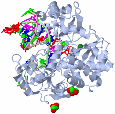 Image Biological Unit 1