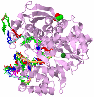 Image Biological Unit 2