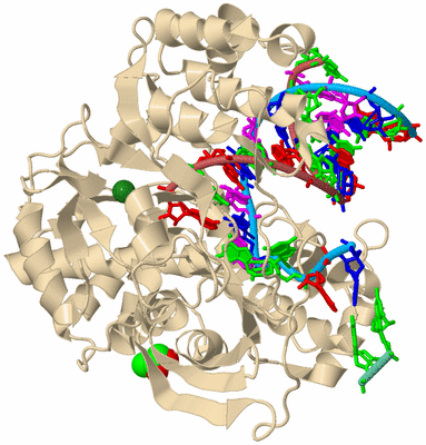 Image Biological Unit 3