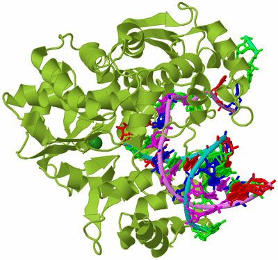 Image Biological Unit 4