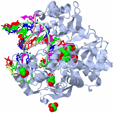 Image Biological Unit 1