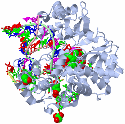 Image Biol. Unit 1 - sites