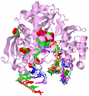 Image Biological Unit 2