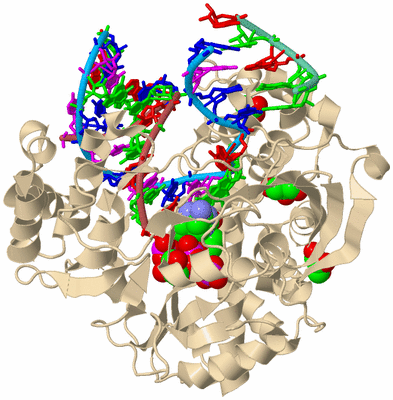 Image Biological Unit 3