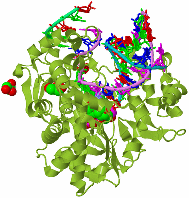 Image Biological Unit 4